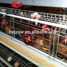 Sistema automático de jaula de cría de pollos de huevo / broiler